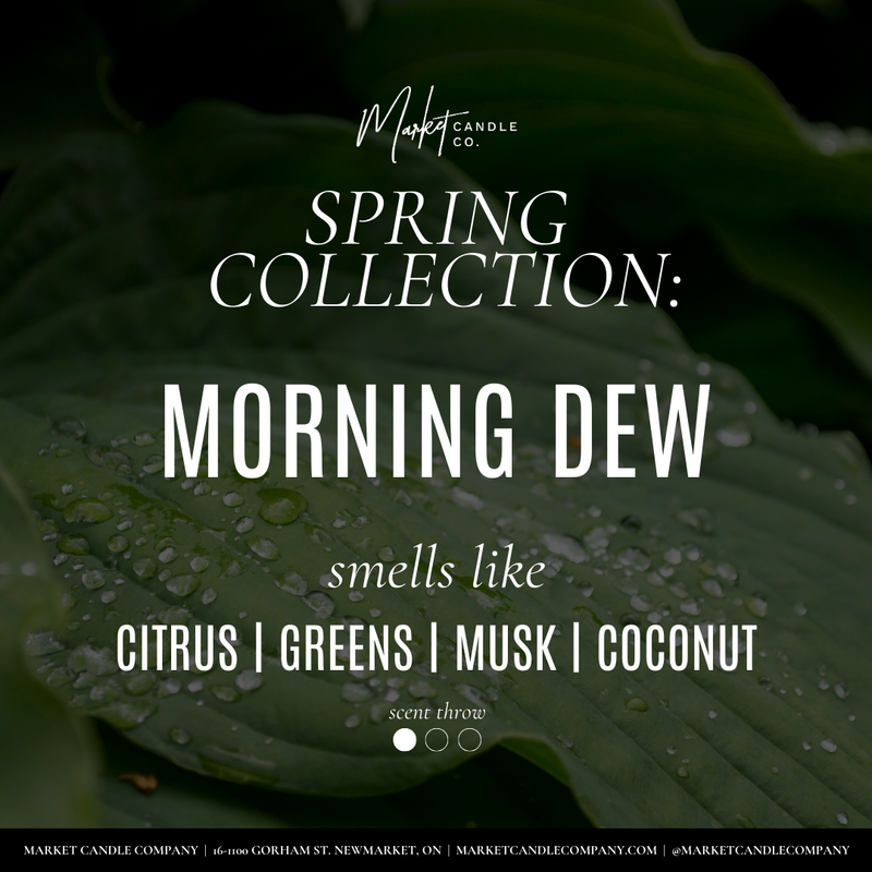 BOUGIE DE SOJA MORNING DEW