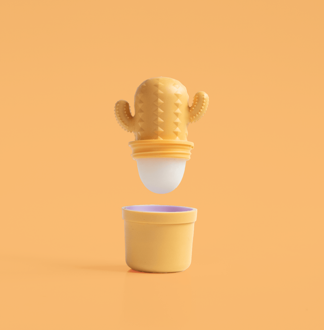 CLEMENTINE CACTUS LIP BALM