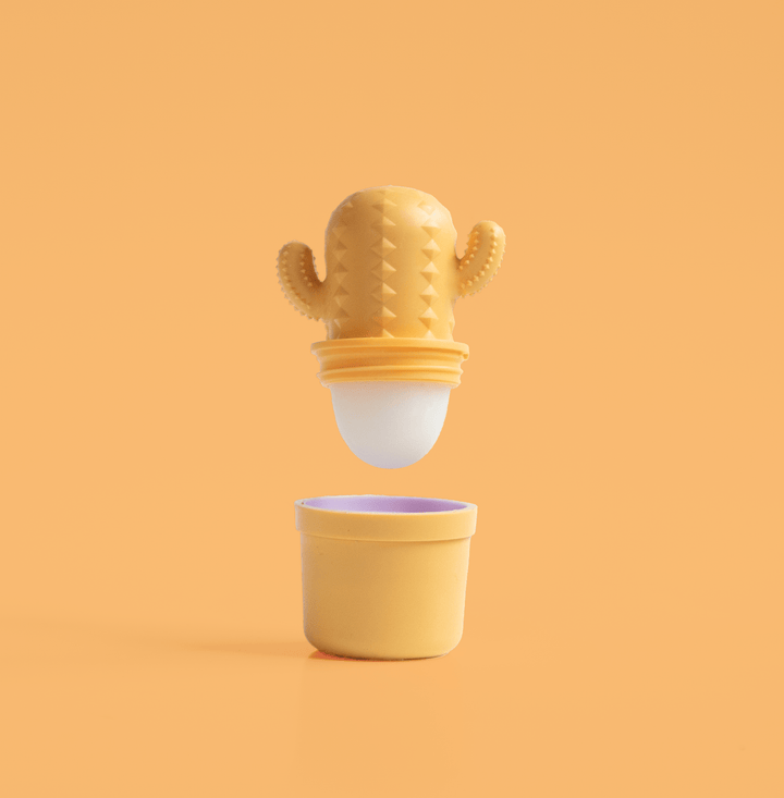 CLEMENTINE CACTUS LIP BALM