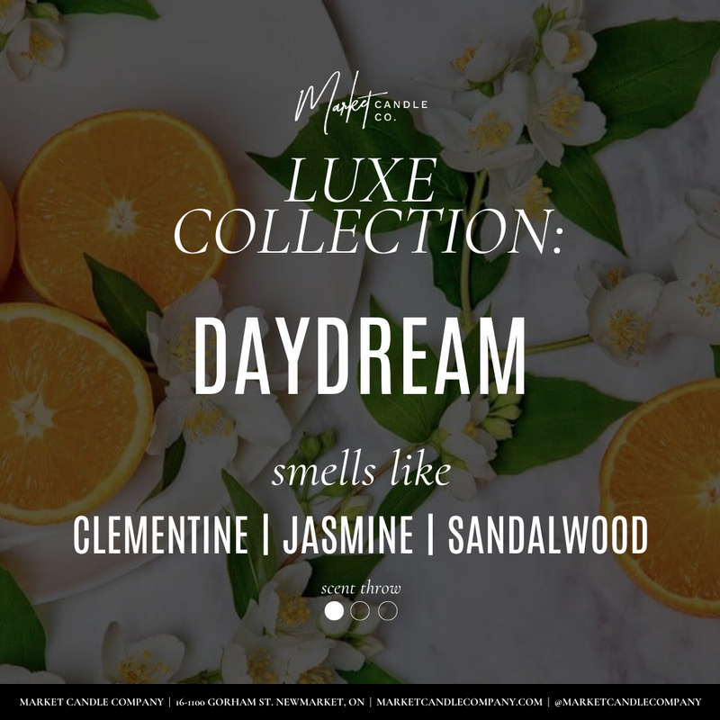 DAYDREAM  SOY WAX CANDLE -  NEW VESSEL