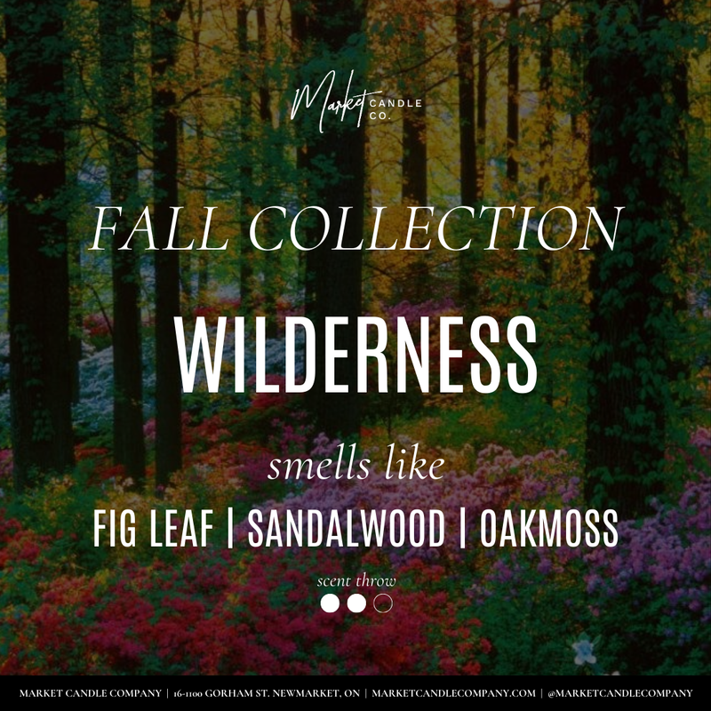 WILDERNESS SOY CANDLE