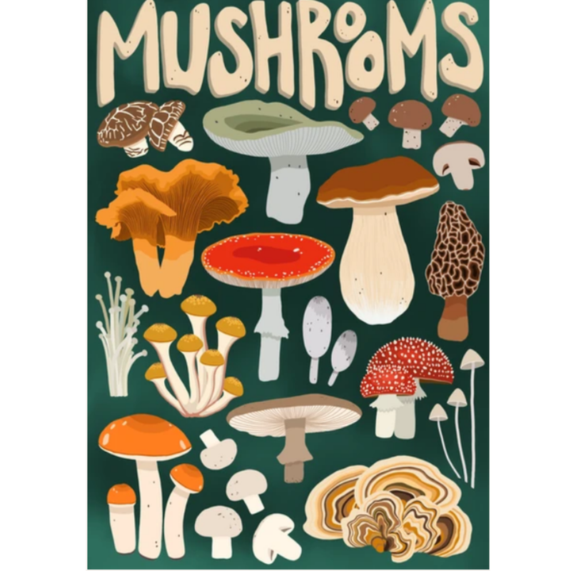 MUSHROOM FORAGER - VILLAGER PUZZLES