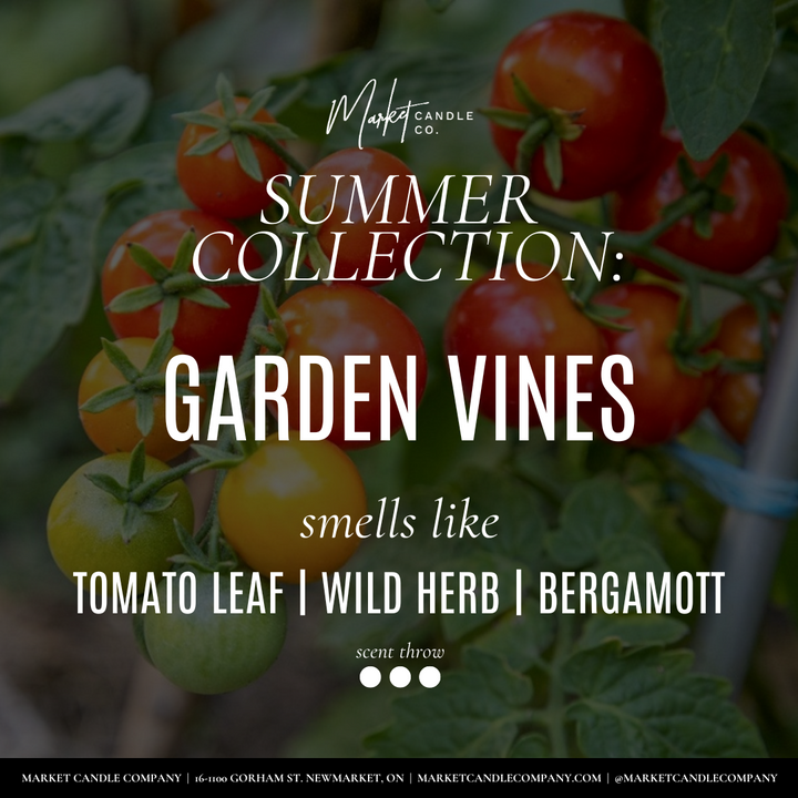 BOUGIE DE SOJA GARDEN VINES