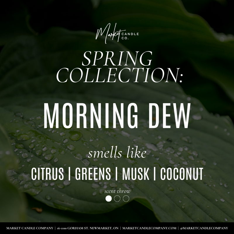 MORNING DEW SOY CANDLE