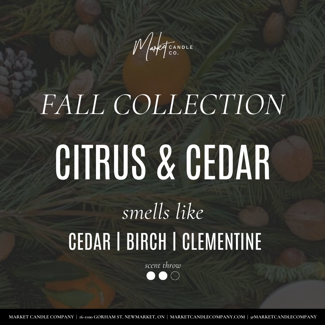 CITRUS &amp; CEDAR FINE FRAGRANCE OIL
