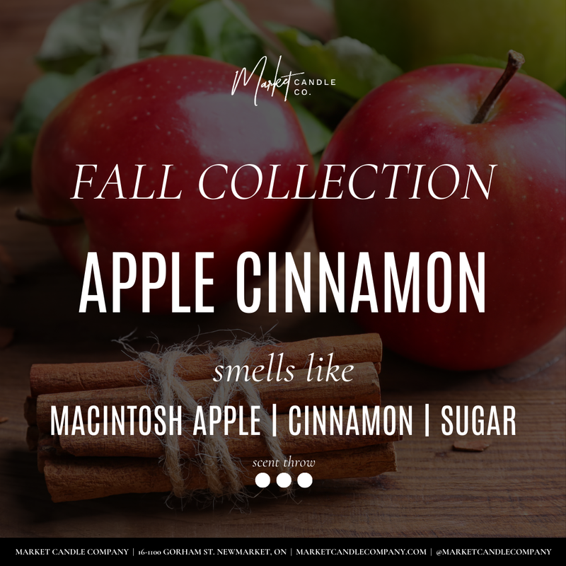 APPLE CINNAMON SOY WAX MELT