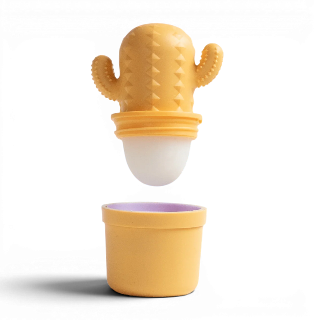 CLEMENTINE CACTUS LIP BALM
