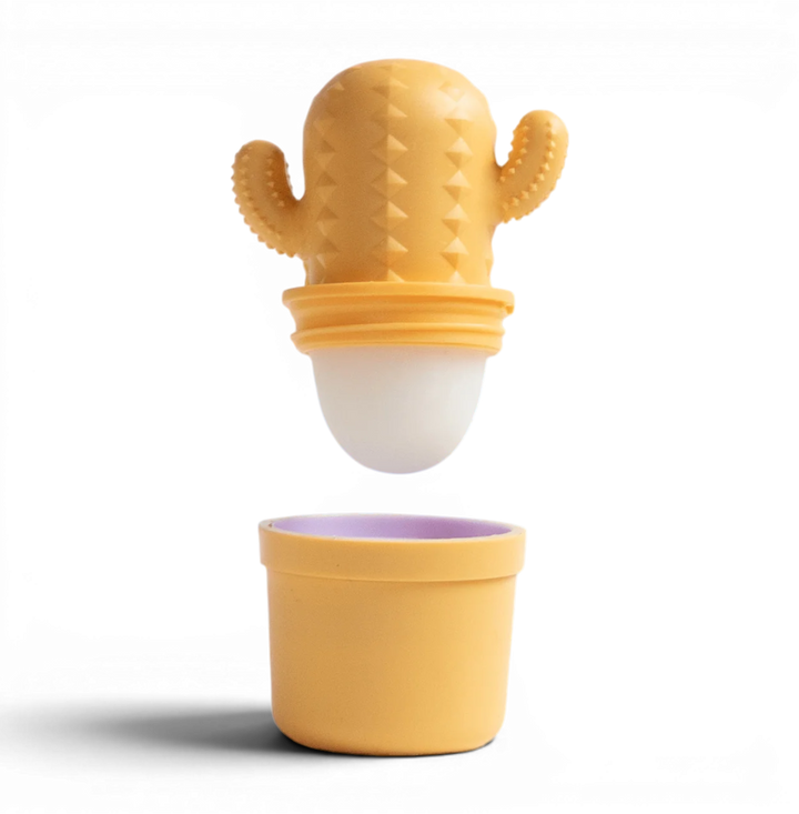 CLEMENTINE CACTUS LIP BALM