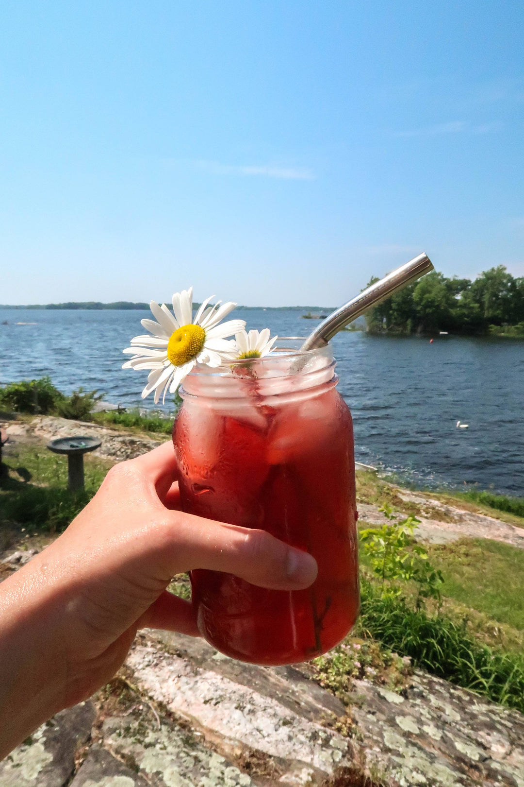 ROSE HIBISCUS GLOW TEA BLEND