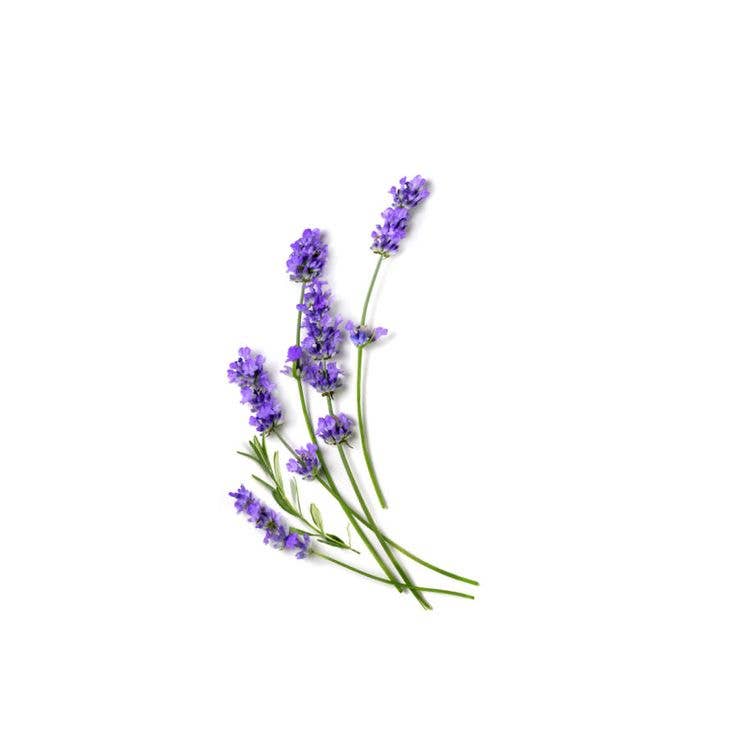 LAVENDER EUCALYPTUS POCKET HAND SANITIZER