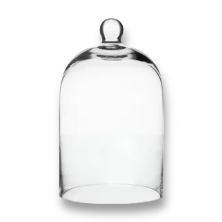 CLOCHE EN VERRE